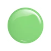 Victoria Vynn Gel Polish 421 Lady Green 8 ml