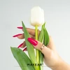 803 Women’s Day