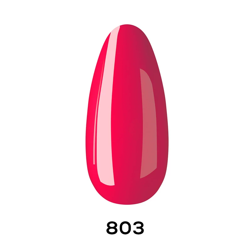 803 Women’s Day